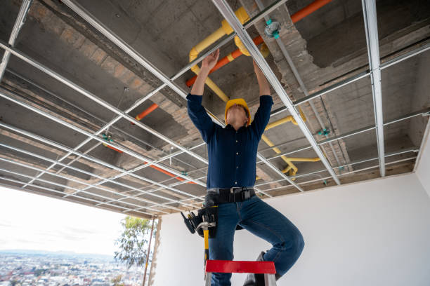 Best Local Plumber Services  in Lexington, OK